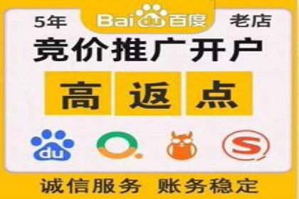 探索百度竞价推广托管的最佳实践与案例分析